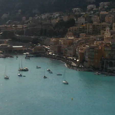 Soleil D'or