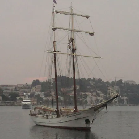 Soleil D'or